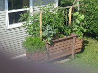 20180720_162813.jpg