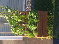 20180720_193945.jpg