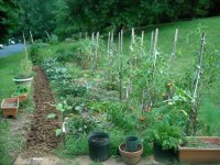 DSCN3116.jpg
