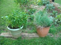 DSCN3119.jpg