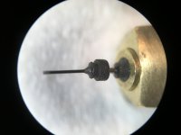 B185AC77-C55F-450F-9941-8BAC89769746.jpg B185AC77-C55F-450F-9941-8BAC89769746.jpg