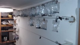 20181002_075035.jpg