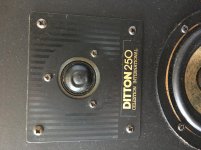 CELESTION HF1003 MOUNTED.jpg