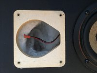 CELESTION HF1003 MOUNTING HOLE.jpg