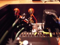 Whammy switchable output.jpg