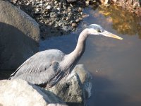 IMG_3663.jpg
