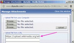 fromURL-DIYAudio.gif