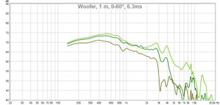 woofer, 1 m, 0-60deg, 6.3ms.jpg