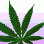 marijuana.gif