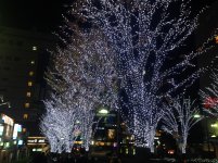 IMG_2801.jpg