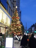 DSC_0905.JPG