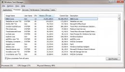 ABEC memory usage 40GB.jpg