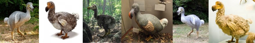 Dodo-me and Dodo Sisters.jpg