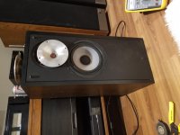 20181015_002740.jpg