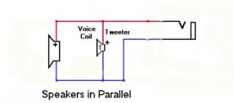 1 spkr 4 ohm and 1 piezo horn 8 ohm jpg.jpg