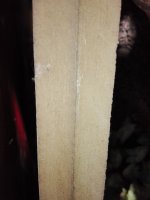 IMG_20181222_101640.jpg