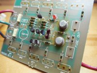 output_caps-2_sm.jpg