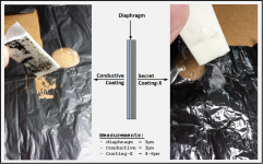 ESL63_Diaphragm_Coatings.png