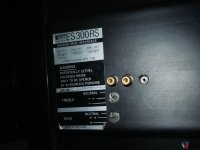 es_300rs_01.jpg