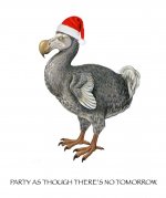 DODO.jpg