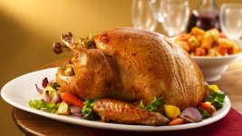 Turkey - roasted.jpg