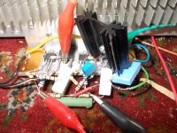 DSCN3195.JPG
