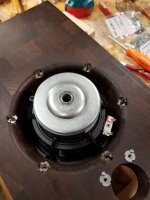51 woofer tee nuts in.jpg