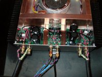 amp600.jpg