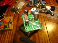 flea_w_updated_caps.jpg