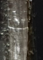 20181130_101718 - Copy.jpg