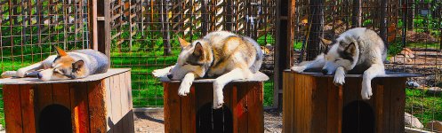 DSC_6007.jpg