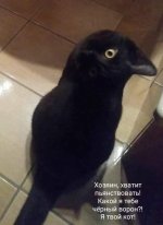 IMG-20181101-WA0010.jpg