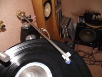 DSCF7296.jpg