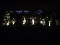 IMG_1559.jpg IMG_1559.jpg