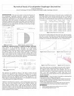 Numerical Studies of Loudspeaker Diaphragm Geometries.jpg