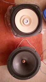 IMAG2872-1024x1820.jpg