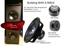Building a Smile.jpg