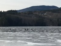 IMG_3753.jpg