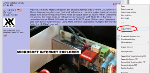 msie_capture.png