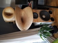 20190303_162119.jpg