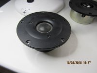 IMG_0868.JPG