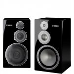 Yamaha NS-5000.jpg