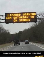 Lizzard warning.jpg
