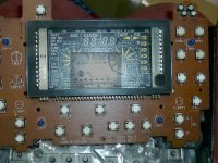 gathers pp1 display.jpg