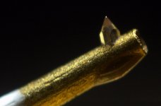 205C-L.jpg