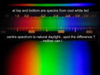 cool white led versus daylight 1000xsomething.jpg
