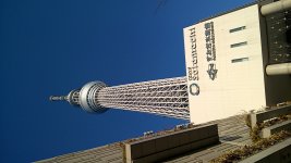 WP_20190120_15_48_28_Pro.jpg
