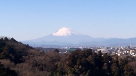 WP_20190127_12_14_35_Pro.jpg