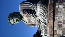 WP_20190127_14_10_27_Pro.jpg