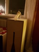 20181231_172738.jpeg